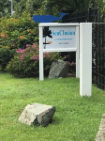 5 Nights Left in March  1 BR Oceanfront Condo Sleeps 4! Cane Bay! ST CROIX, USVI Hotels in 