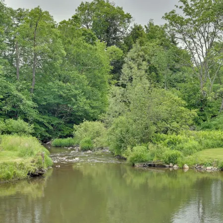 Quiet Country Escape Fire Pit, Fish on-Site!