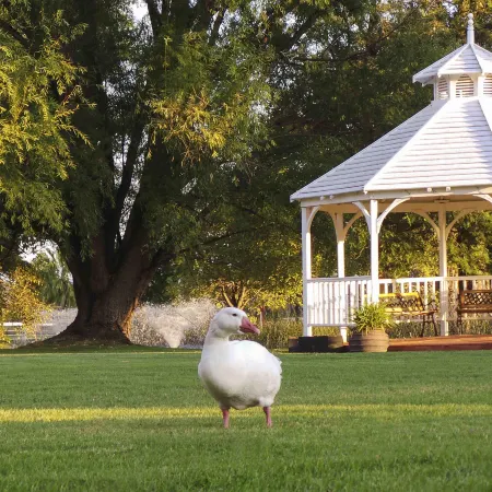 Parklands Resort Mudgee