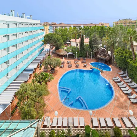 H10 Delfín - Adults Only