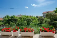 Apartments Lavanda-Kate