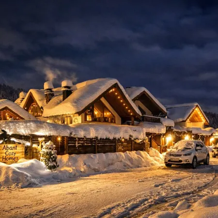 Abant Cozy Homes