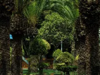 NALU Latchi Leonardo Limited Edition Hotéis em Pólis