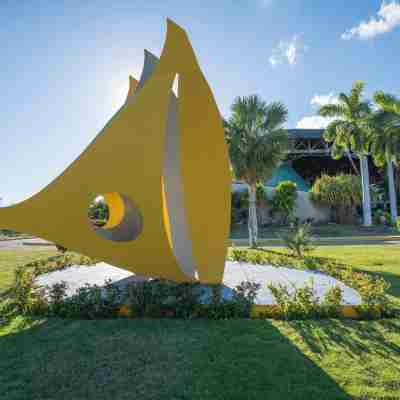 Hotel Playa de Oro Others
