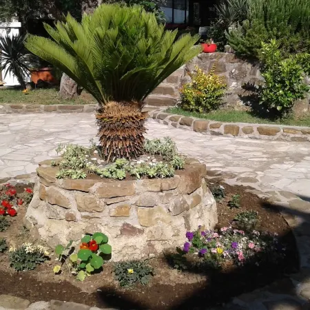Resort "Maslinjak"