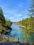 5 Acre Cabin. 1 Min to River Access and Downtown! 8 Min to Cda.