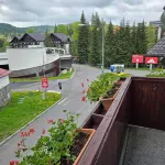 Pensiunea Anotimpuri - Mountain view