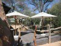 Osonjiva Outpost Hotels in Otjiwarongo