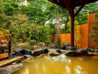 Auberge Cosmos - con terme