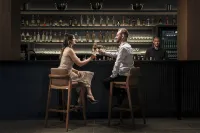 Plaza Hotel & Boulevard Convention - Vale Dos Vinhedos - bar