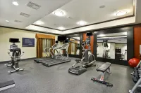 布倫納姆歡朋套房酒店 - 健身室/gym room