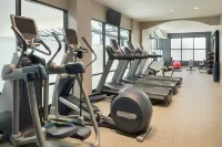 Embassy Suites by Hilton Atlanta Alpharetta - Gym