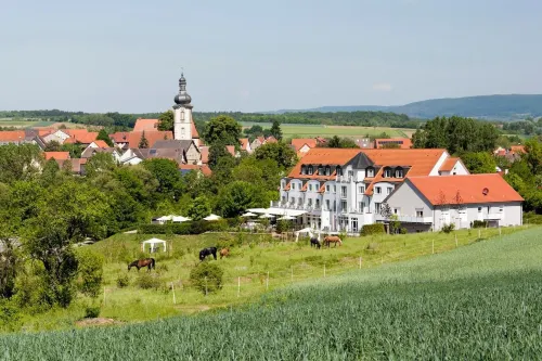 Landhotel Rügheim - Kæledyr tilladt