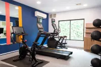 Hampton Inn & Suites Chicago/St. Charles - Gym