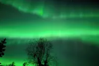 Hatcher Pass Northern Lights Home - Homestays