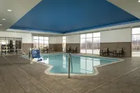 Hampton Inn & Suites Rochester/Henrietta - Evcil Hayvan Kabul Edilen Alan