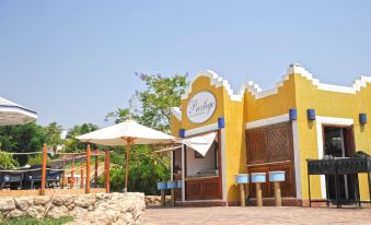 Domina Coral Bay Prestige Pool