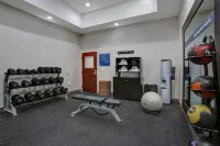 Hampton Inn & Suites Dallas-DeSoto - gimnasio