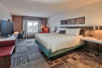 Hilton Garden Inn Albuquerque/Journal Center - Pet friendly