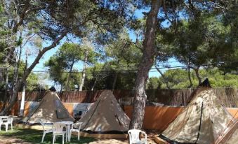 Camping Cala Nova