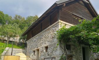 Beautiful Home in Tolmin with Jacuzzi, Wifi and 1 Bedrooms