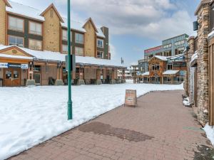 Treetop Getaway-Amazing Ski in/Out,Private Hot Tub