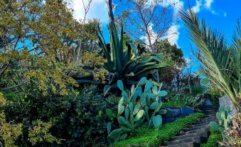 Etna Panoramic Villa with Swimming Pool