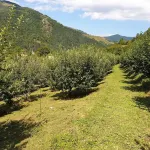 House of Rei with Hot Tube Hotels in Ocolis