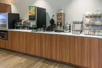 Microtel Inn & Suites by Wyndham Altoona Hotels in Altoona
