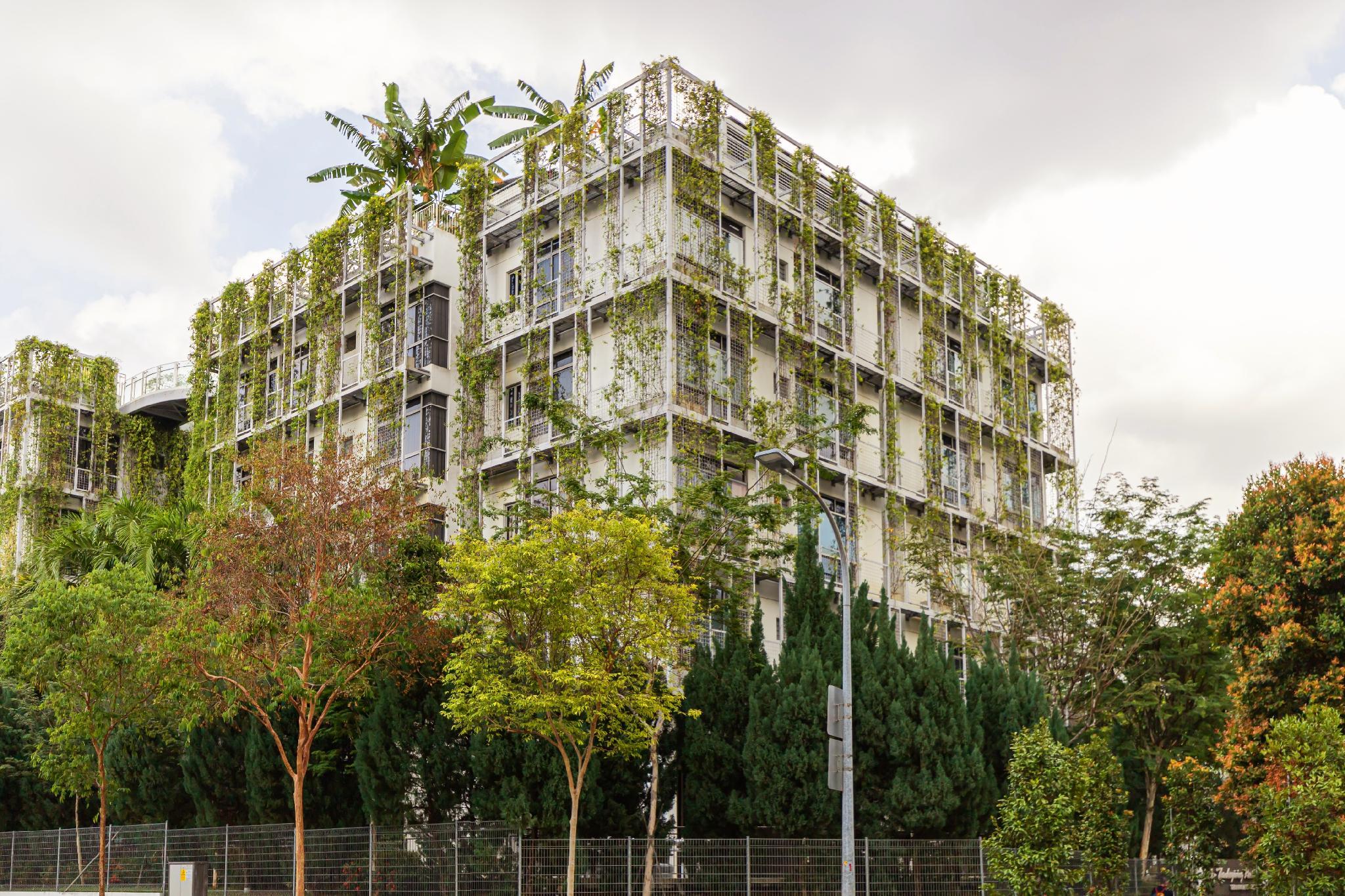 Oxley Thanksgiving ResidenceOver view