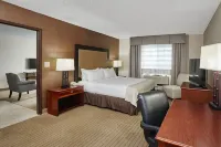 Holiday Inn & Suites Chicago-Carol Stream (Wheaton) Các khách sạn ở Glen Ellyn