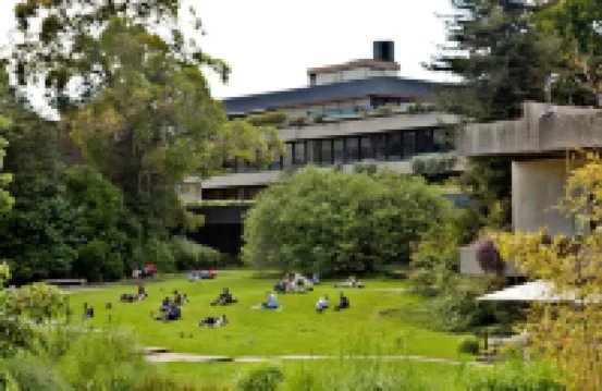 SANA Reno Hotel Отели в г. 