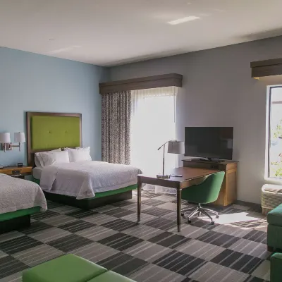 Hampton Inn & Suites Amarillo-East Hotels near Texas Air & Space Museum