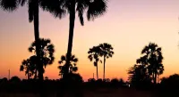Ongula Village Homestead Lodge Hotels in Ondangwa