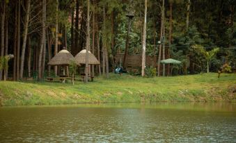 Nyungu Yamawe Forest Park