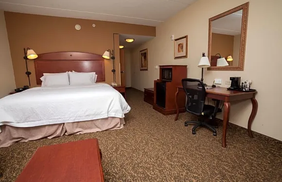 希爾頓歡朋酒店-奧尼昂塔