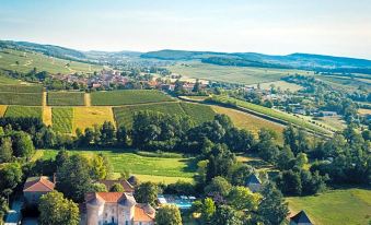 Château d'igé