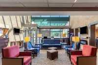Comfort Suites Oakbrook Terrace Near Oakbrook Center Hotel a York Township