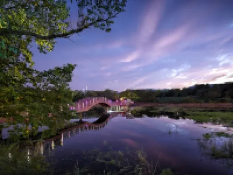 Hilton Gyeongju Hotels in Gyeongju