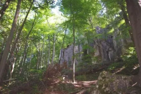 Land-Gut-Hotel Räuber Lippoldskrug Отели в г. Дильмиссен