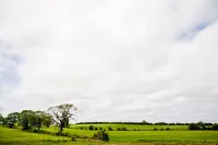 Bamflatt Farm Bed & Breakfast Hotels in Strathaven