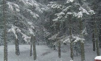 Rivendell Apartments Sequoia Borovets - Housity