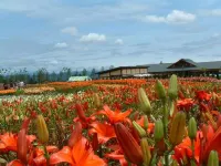 Morinoyu Hotels in Nanyo