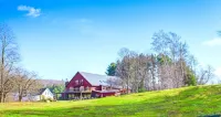 Mountain Meadows Lodge - Mountain view