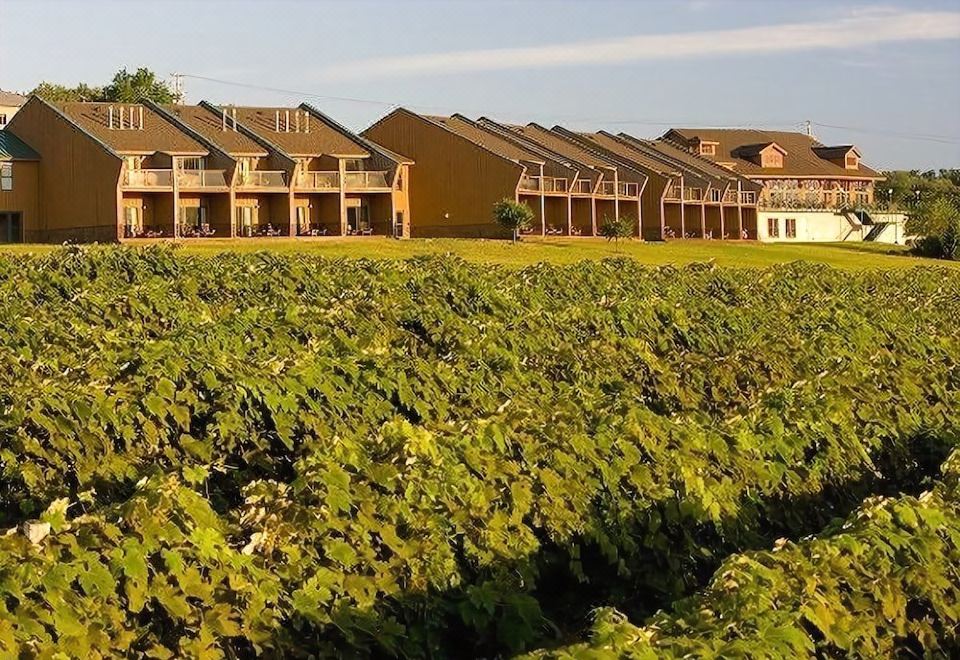 The Inn at Glenora Wine Cellars