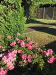Brit Hotel Europ Bergerac Hotels in Bergerac