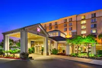 Hilton Garden Inn San Francisco Airport North Hôtels à : Brisbane