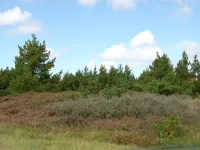 "Falki" - 2.5km from the Sea