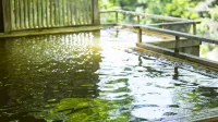 Oku-Mikawa・Yuya Onsen Yunokaze HAZU - Hot Springs