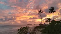 馬爾代夫陽光海灘美夢客棧 - 沙灘